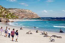 Things to do in Kangaroo Island | SeaLink Kangaroo Island